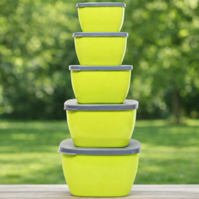 Microwave Safe Food Storage Bowls with Lids (5 Pcs)