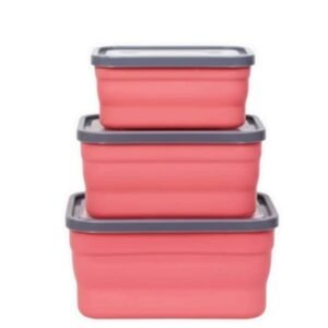 Food Storage Containers with Lids (3 Pcs)